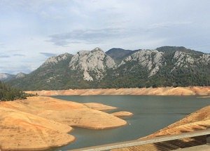 Lake Shasta