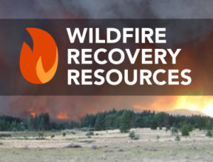 Wildfire recovery resources graphic