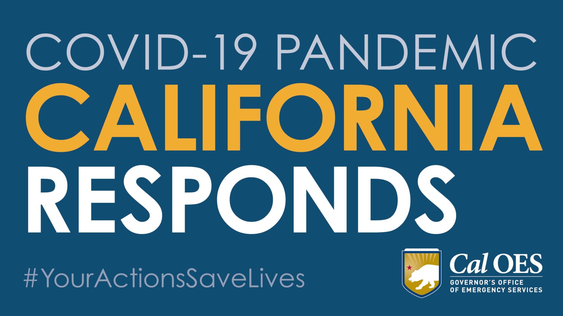 State of California’s Critical PPE Distribution: Numbers Breakdown by Industry