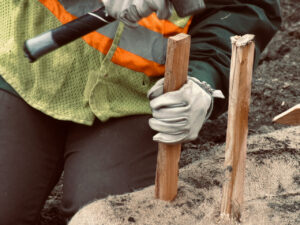 CCC worker hammering a wooden stake into a wattle